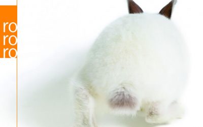 Philipp Hübl: Folge dem weißen Kaninchen … in die Welt der Philosophie