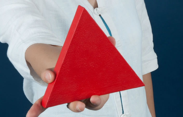 Die politische Dynamik der Organisationsentwicklung