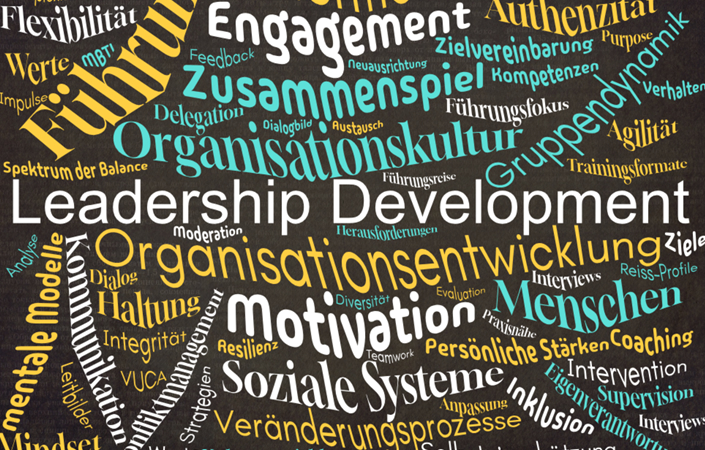 SYNNECTA Leadership Development