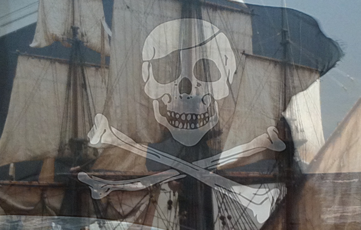Pirate Leadership: A Dramatic Appeal for Self-Organization in Business
