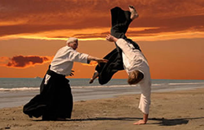 VUCA-AIKIDO: Six stances for new sovereignty in business